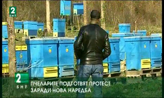 Пчеларите подготвят протест заради нова наредба