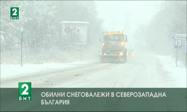 Обилни снеговалежи в Северозападна България