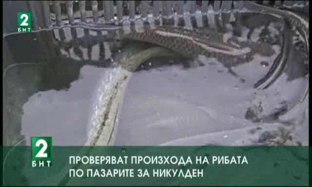 Проверяват произхода на рибата по пазарите за Никулден