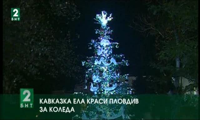 Кавказка ела краси Пловдив за Коледа