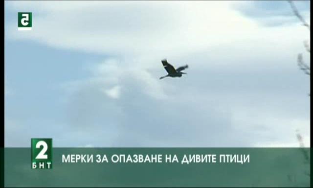 Mерки за опазване на дивите птици