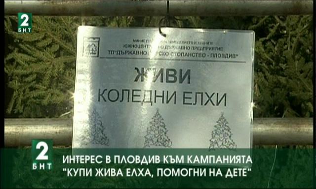 Интерес към кампанията „Купи жива елха, помогни на дете“ в Пловдив