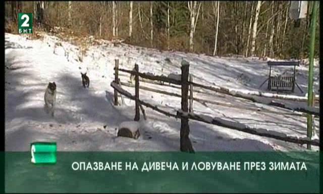 Опазване на дивеча и ловуване през зимата