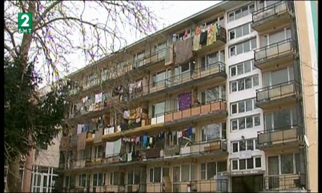 Приютът за бездомни във Варна е препълнен, има нужда от помощ