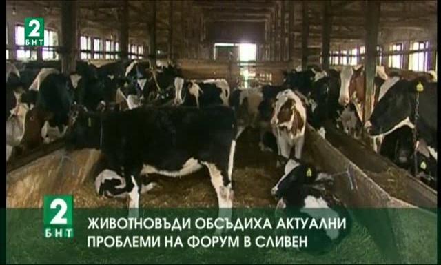 Животновъди обсъдиха актуални проблеми на форум в Сливен