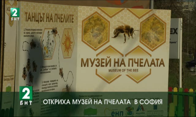 Откриха музей на пчелата в София