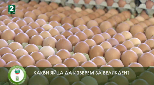 Какви яйца да изберем за Великден?