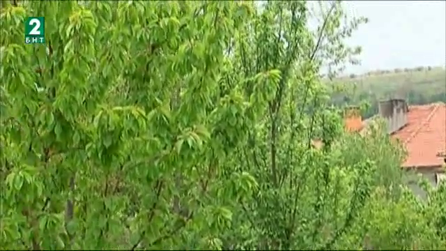 Опасност от измръзване на овошките в Северна България заради рязкото застудяване