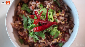 „Зелена светлина“: Насекоми в чинията