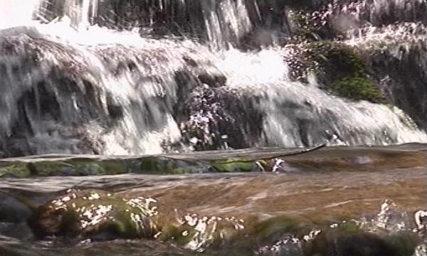 Денят на водата