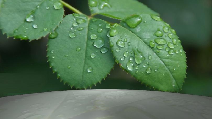 Георги Рачев: На Гергьовден ще вали
