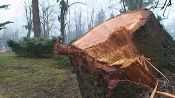 Дарителска кампания за възстановяване на парковете във Вършец