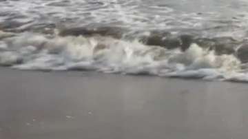 Зелена светлина на фокус: килим от вълни