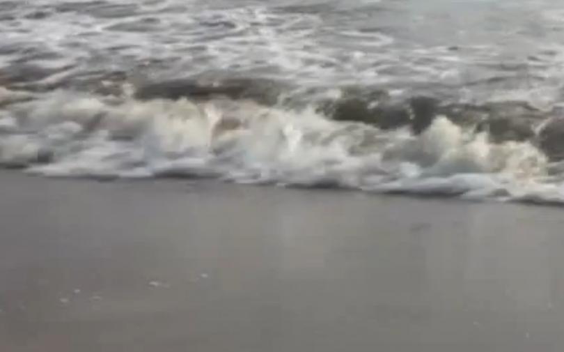 Зелена светлина на фокус: килим от вълни