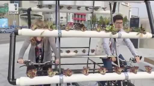 ДРУГИТЕ новини:  Ферма на колела