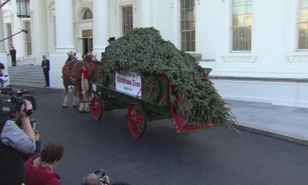 Коледно настроение в Белия дом