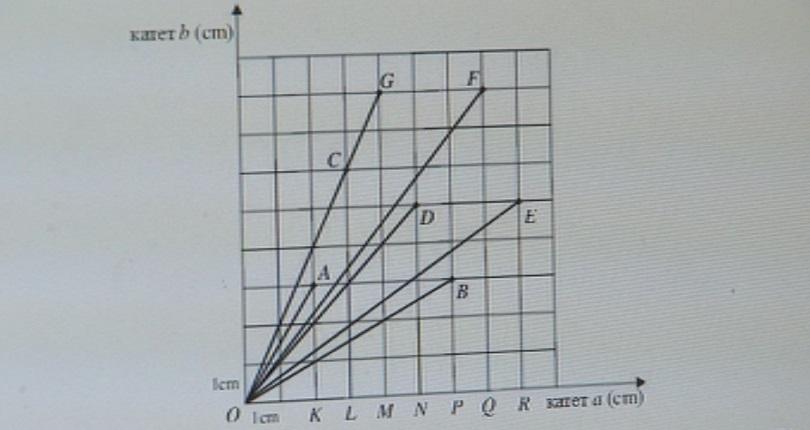 Сгрешено условие на задача №20 от теста за 7-ми клас