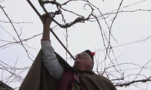 Зарязване край Казанлък