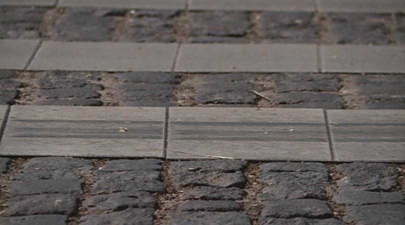 Обновяват пешеходните пътеки пред училищата в Пловдив