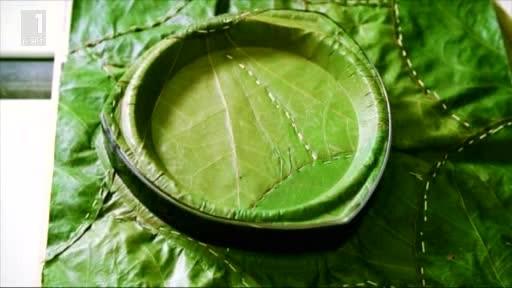 Зелена светлина: Чинии от сухи листа