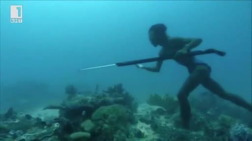 Зелена светлина: Хората-делфини