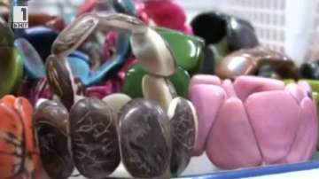 Зелена светлина: Растителна слонова кост