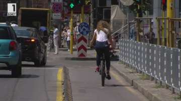 Зелена светлина: Проектът Стрибъл