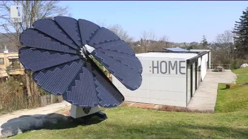 Зелена светлина: Умно цвете произвежда енергия