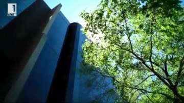 Зелена светлина: Необходимите дървета