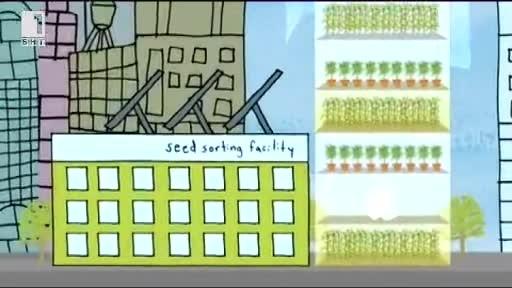 Зелена светлина: Отглеждане на зеленчуци с мобилен телефон