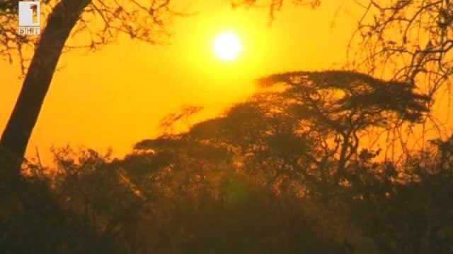 Зелена светлина: Североизточна Танзания и народът Хадза