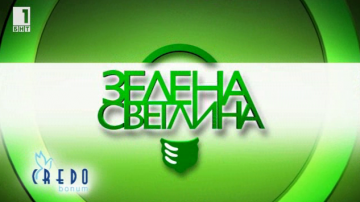 Зелена светлина на фокус: за щраусите, хората и климатичните промени