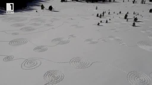 Зелена светлина: Рисунки в снега