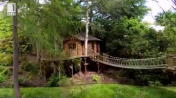 Зелена светлина: Могат ли хората да заживеят в гнезда?