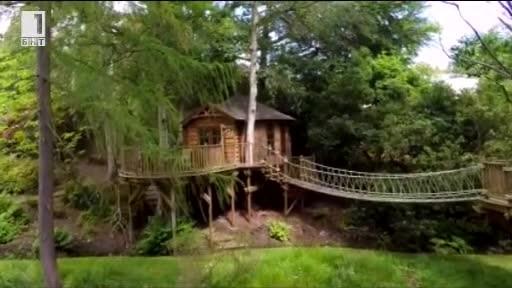 Зелена светлина: Могат ли хората да заживеят в гнезда?