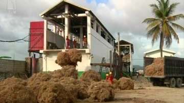 Зелена светлина: Ароматът на Хаити - 30 юли 2014г.