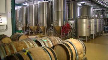 Зелена светлина: Нова бира от стар хляб