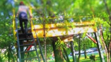 Зелена светлина: да работиш на дърво