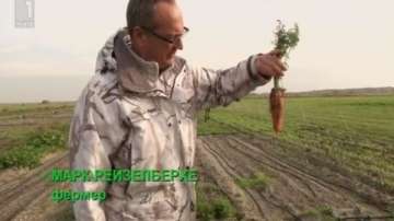 Зелена светлина: солени зеленчуци