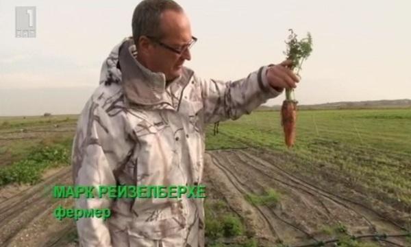 Зелена светлина: солени зеленчуци