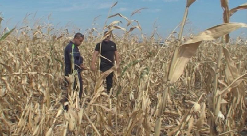 Заплашиха с пушка земеделски производител