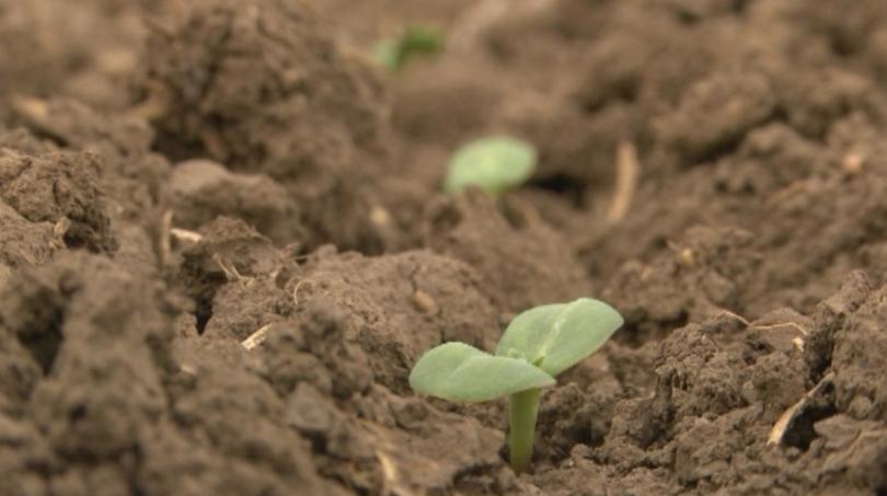 ​Министерството на земеделието и храните подготвя промени в Закона за земята