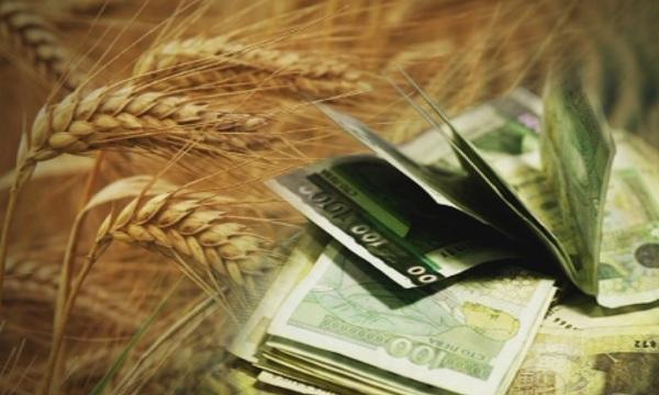 За по-бързо приключване на проектите на ДФ Земеделие, призова Орешарски