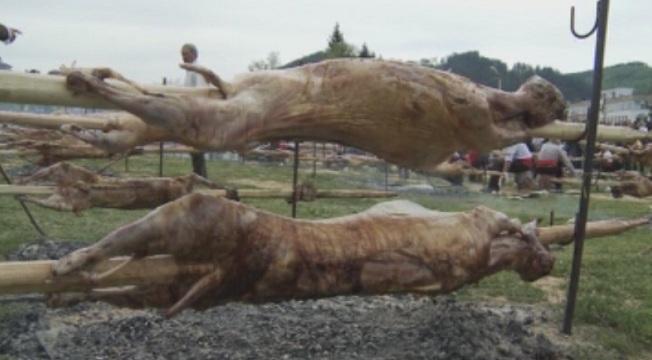 На чеверме в Златоград