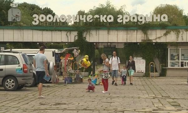Достъпът до Зоопарка в София се оказва труден за пешеходци